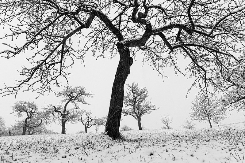 Winter – Álbum do Flickr